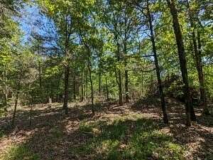 2.52 Acres of Residential Land for Sale in Cecil, Arkansas