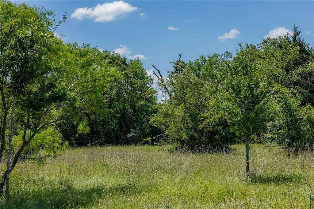 1 Acre of Residential Land for Sale in Bedias, Texas