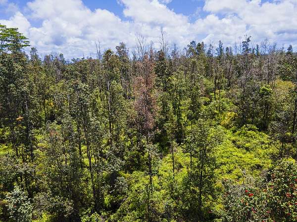 3 Acres of Residential Land for Sale in Keaau, Hawaii