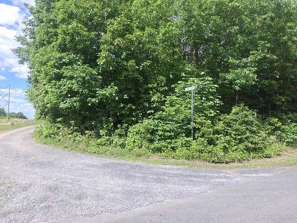 11.6 Acres of Land for Sale in New Canton, Virginia