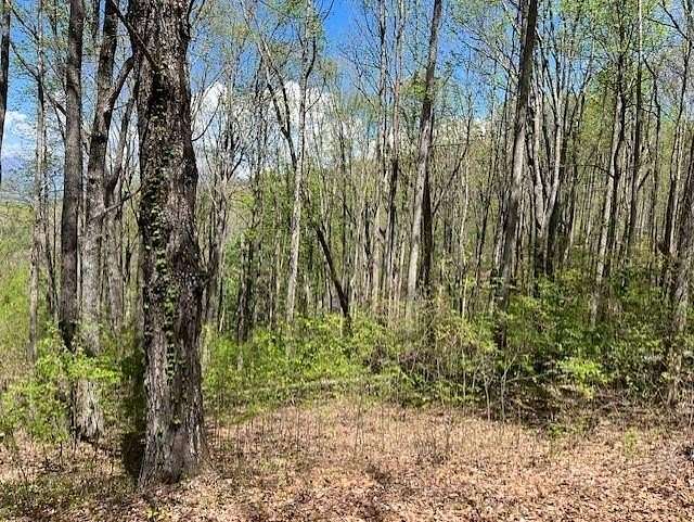 1 Acre of Land for Sale in Young Harris, Georgia