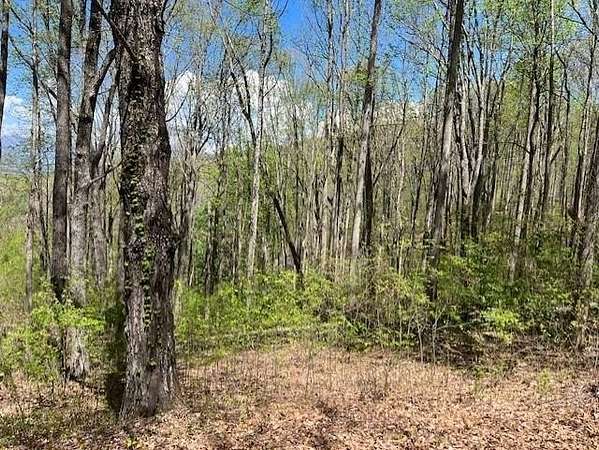 1 Acre of Land for Sale in Young Harris, Georgia