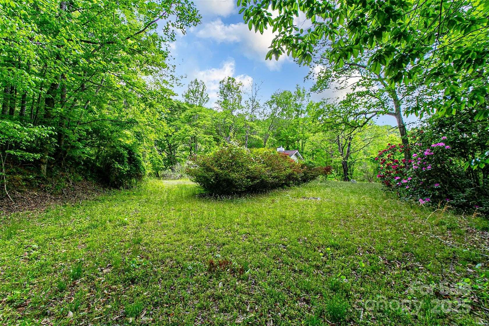 11.6 Acres of Land for Sale in Pisgah Forest, North Carolina