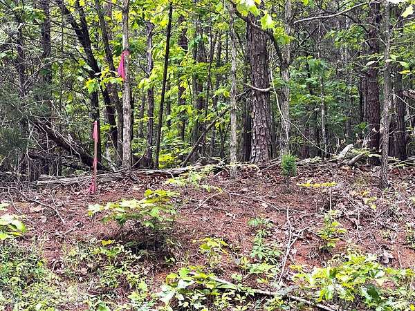 2 Acres of Residential Land for Sale in Dillwyn, Virginia