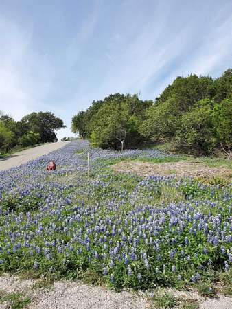 0.26 Acres of Residential Land for Sale in Horseshoe Bay, Texas