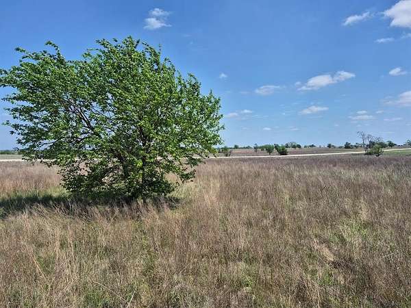 10 Acres of Land for Sale in Jonesboro, Texas