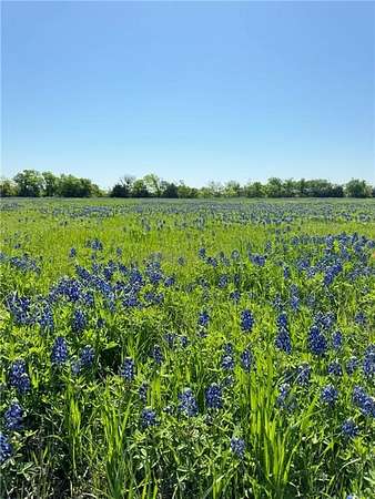 5 Acres of Land for Sale in Penelope, Texas