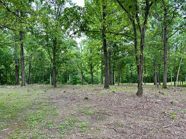 1 Acre of Residential Land for Sale in Van Buren, Missouri