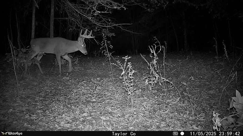 45 Acres of Land for Sale in Rupert, Georgia