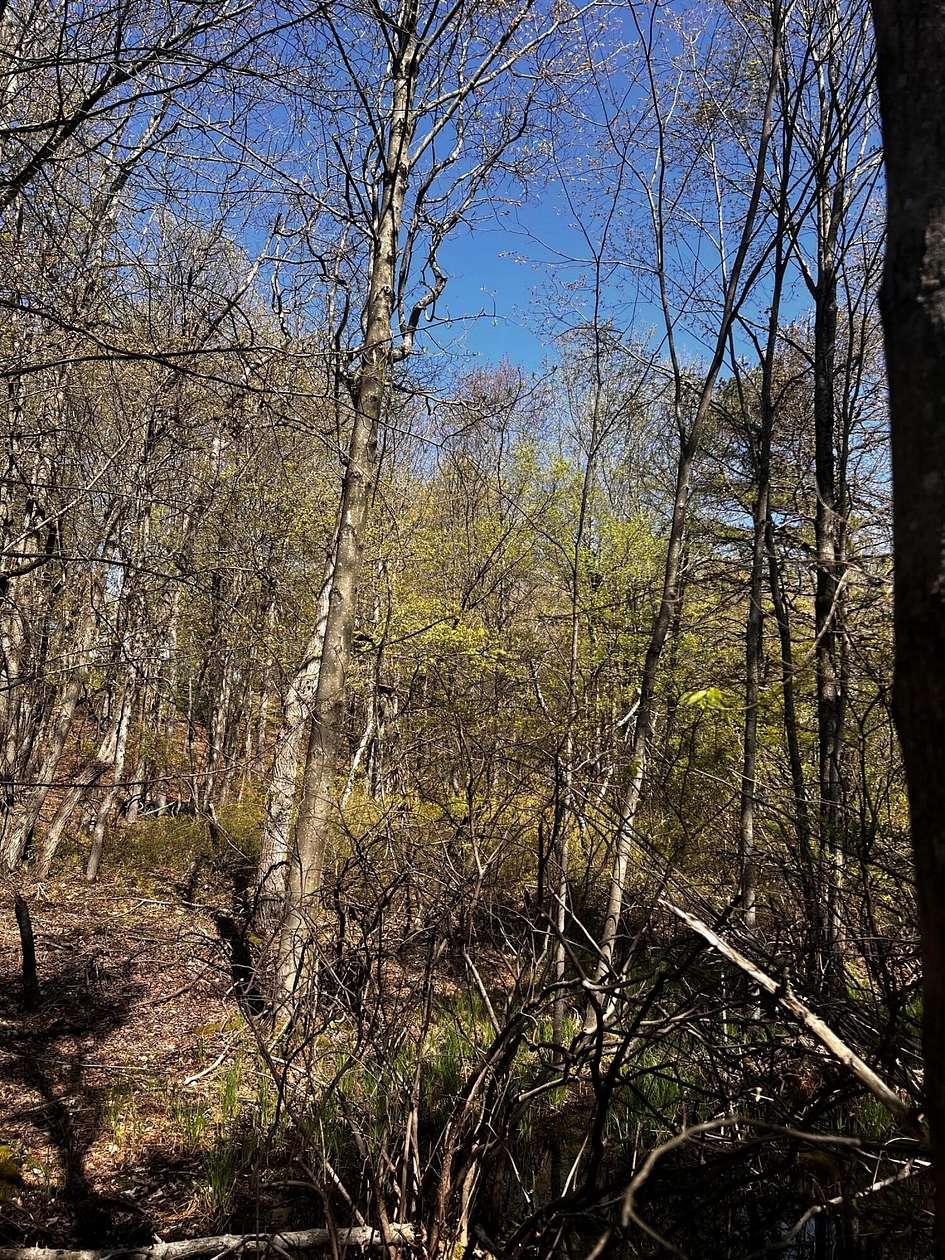 0.46 Acres of Land for Sale in Long Pond, Pennsylvania