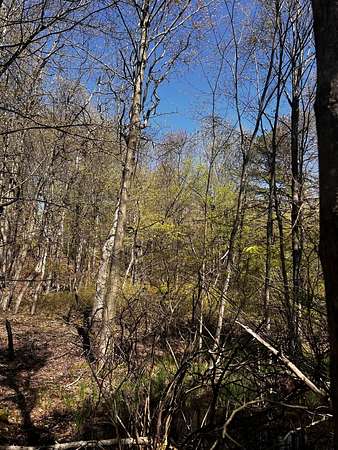 0.46 Acres of Land for Sale in Long Pond, Pennsylvania