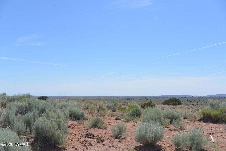 37 Acres of Recreational Land for Sale in Concho, Arizona