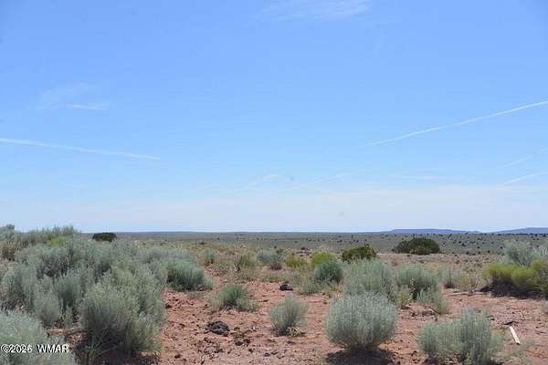 37 Acres of Recreational Land for Sale in Concho, Arizona