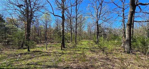 10 Acres of Recreational Land for Sale in Lead Hill, Arkansas