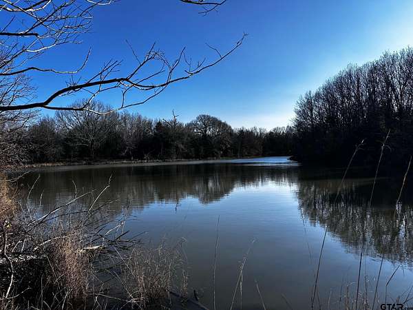 10 Acres of Land for Sale in Van, Texas