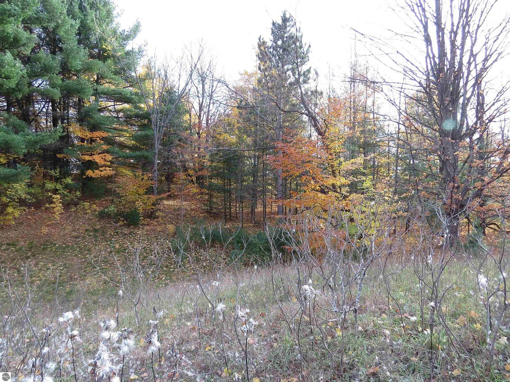 0.47 Acres of Residential Land for Sale in Kingsley, Michigan