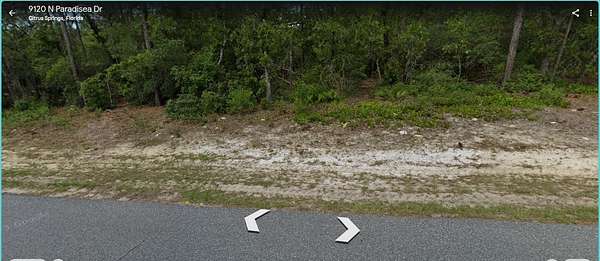 0.23 Acres of Land for Sale in Citrus Springs, Florida