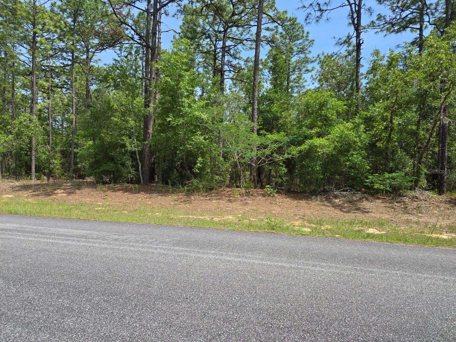 0.86 Acres of Commercial Land for Sale in Citrus Springs, Florida