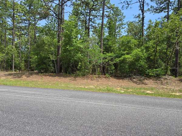 0.86 Acres of Commercial Land for Sale in Citrus Springs, Florida