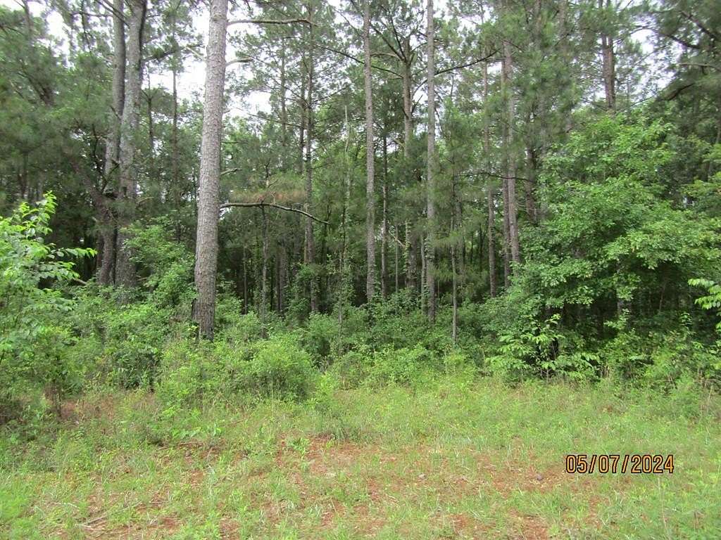 3.77 Acres of Residential Land for Sale in Baconton, Georgia