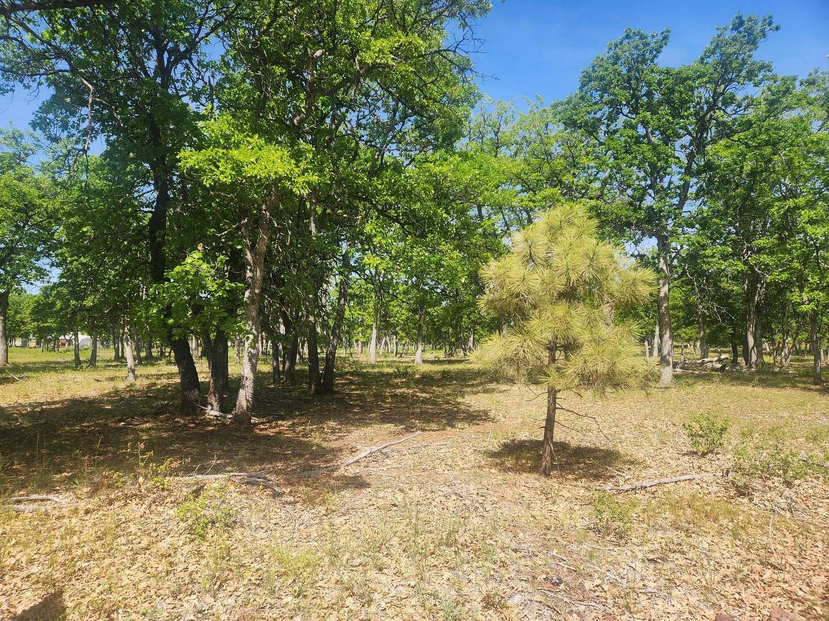 3.4 Acres of Residential Land for Sale in McArthur, California