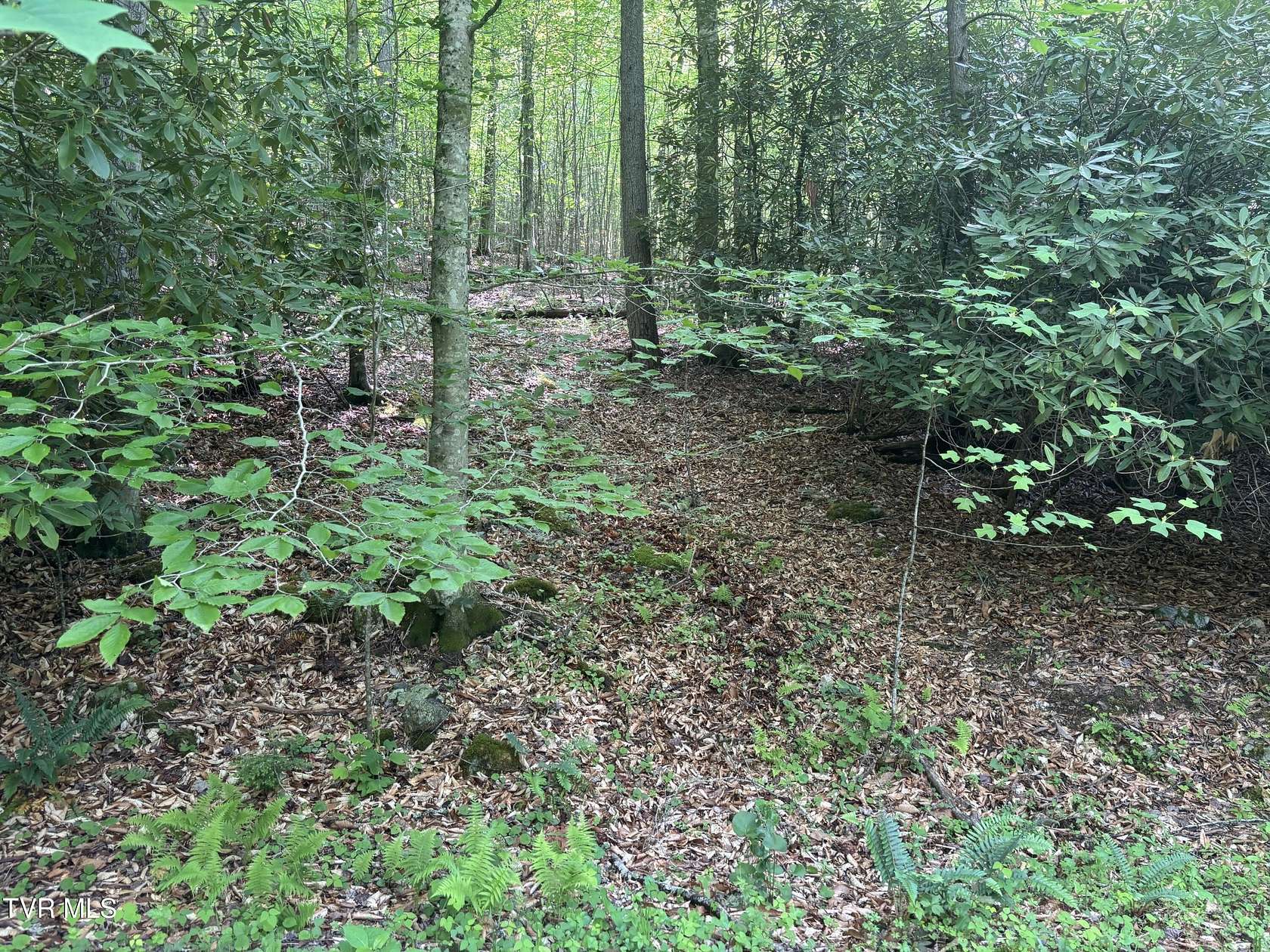 2.29 Acres of Residential Land for Sale in Butler, Tennessee
