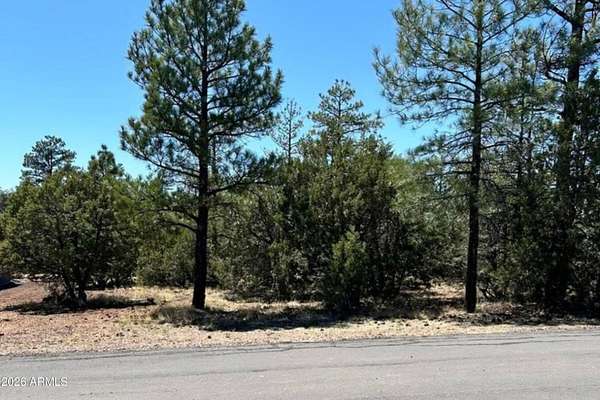 0.23 Acres of Residential Land for Sale in Lakeside, Arizona
