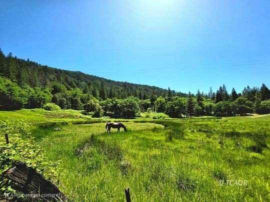 44 Acres of Land with Home for Sale in Hyampom, California