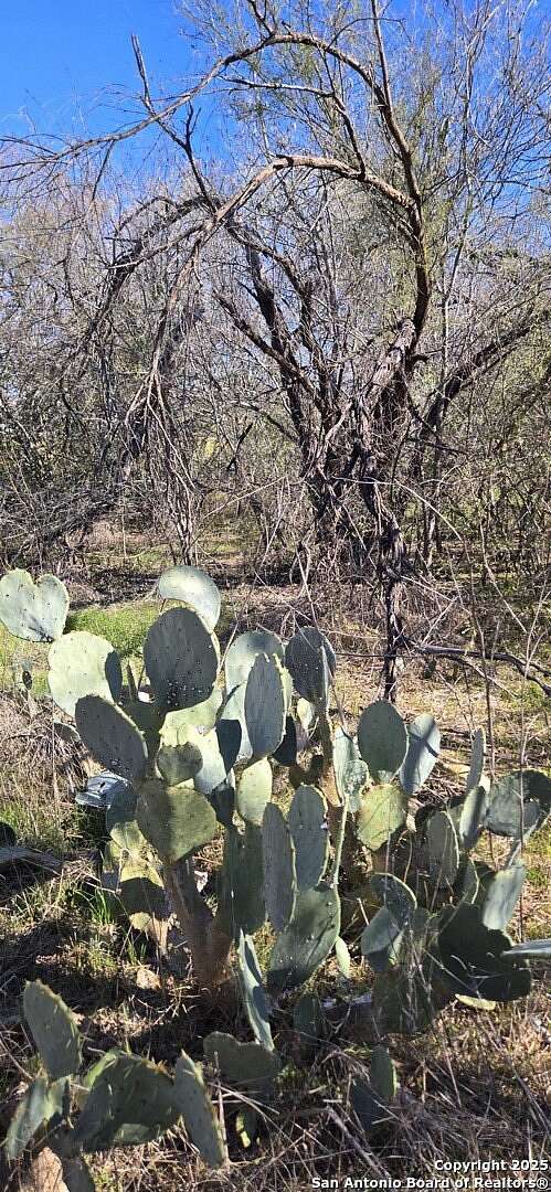 0.2 Acres of Residential Land for Sale in San Antonio, Texas