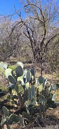 0.2 Acres of Residential Land for Sale in San Antonio, Texas