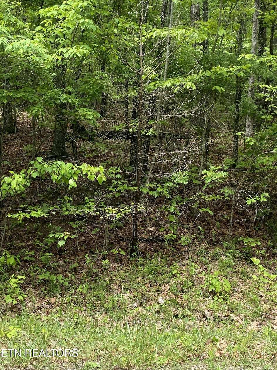0.26 Acres of Land for Sale in Crossville, Tennessee