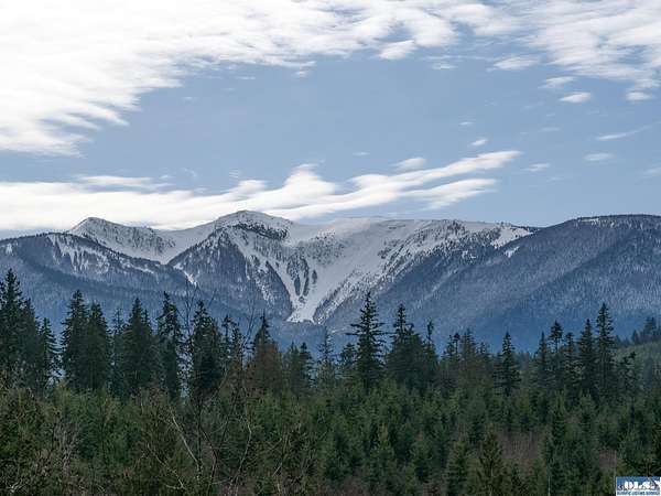 40 Acres of Land for Sale in Port Angeles, Washington