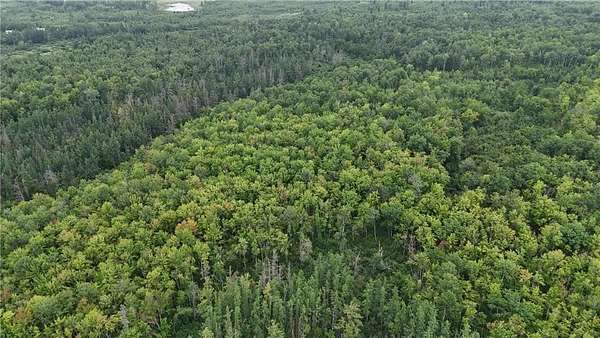 37.8 Acres of Recreational Land for Sale in Dairyland Town, Wisconsin