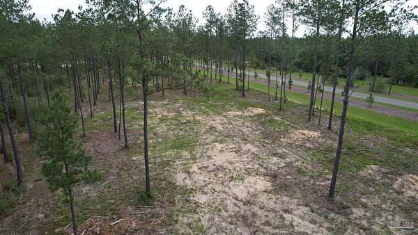 2.74 Acres of Residential Land for Sale in Jay, Florida