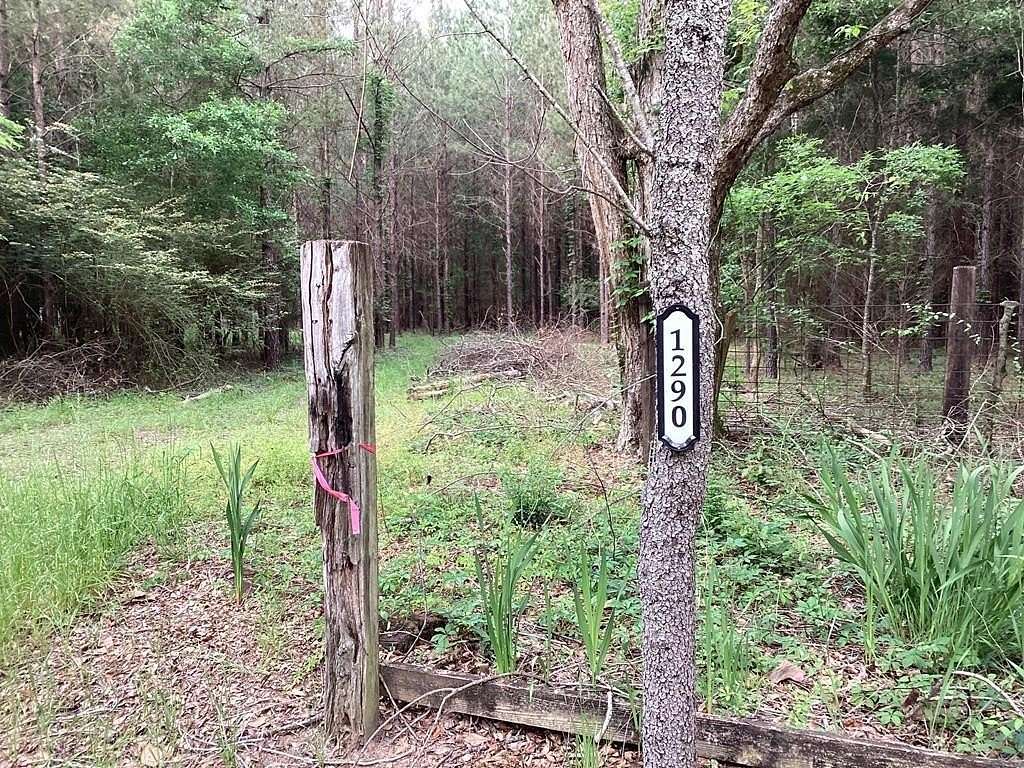 4.1 Acres of Residential Land for Sale in Cottonwood, Alabama