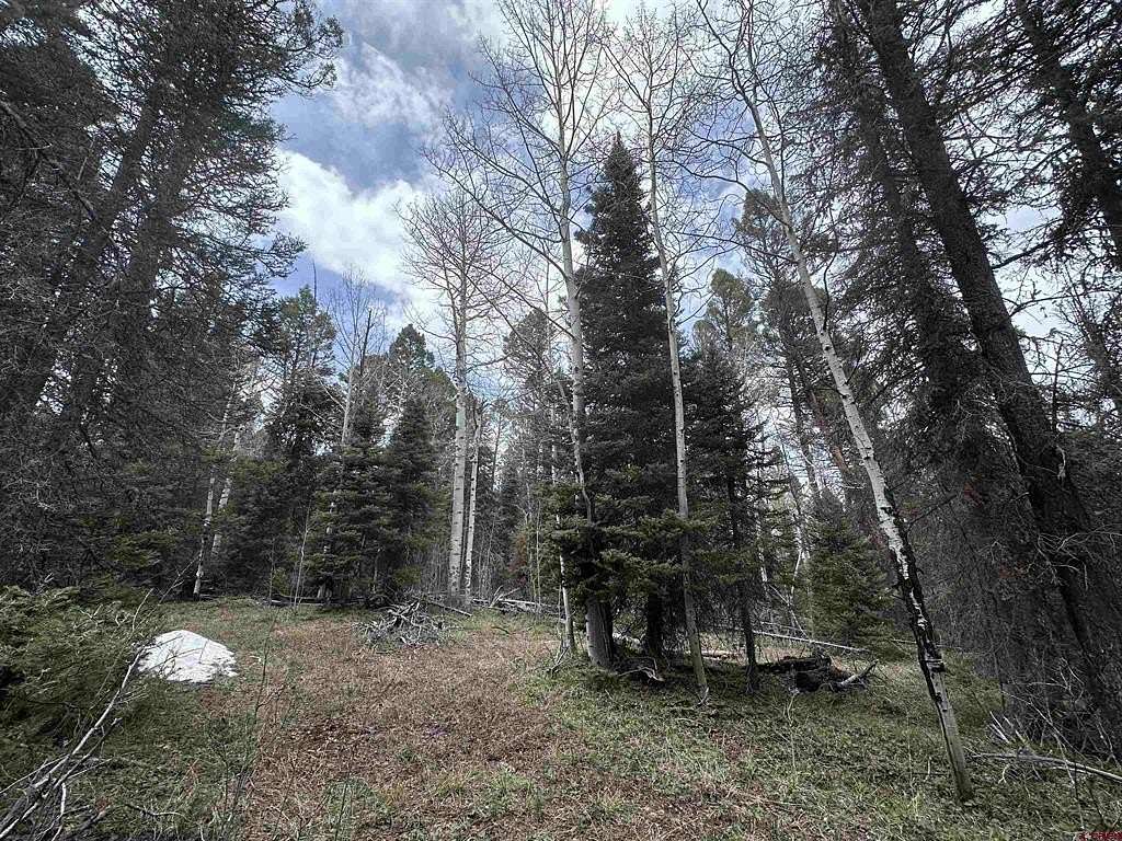 1 Acre of Land for Sale in Cimarron, Colorado