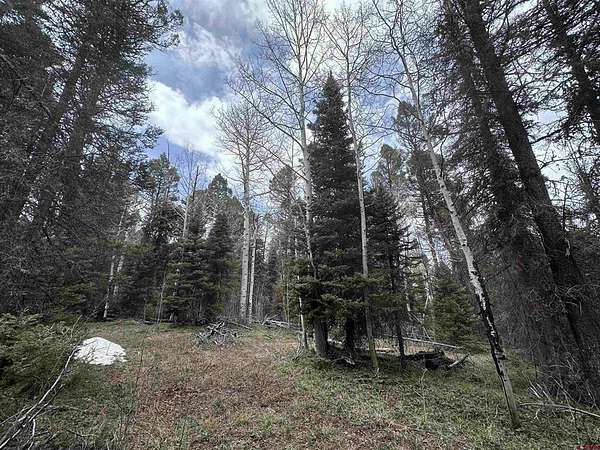 1 Acre of Land for Sale in Cimarron, Colorado