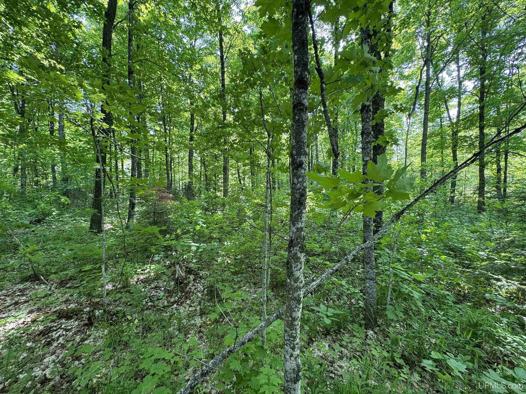 160 Acres of Land for Sale in Crystal Falls Township, Michigan