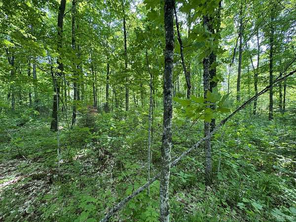 160 Acres of Land for Sale in Crystal Falls Township, Michigan