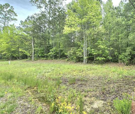 1.57 Acres of Residential Land for Sale in Jasper, Tennessee