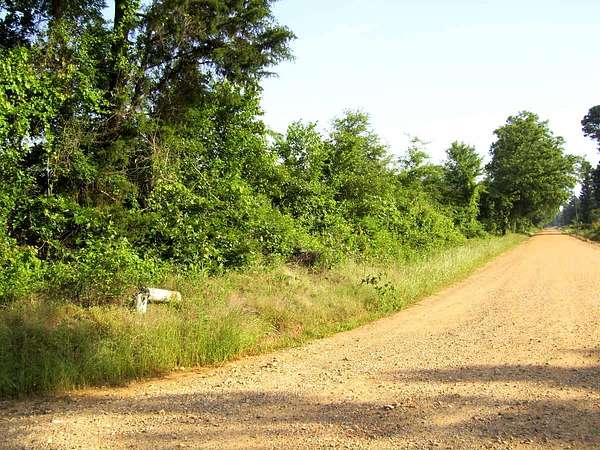 30 Acres of Recreational Land for Sale in Ashdown, Arkansas