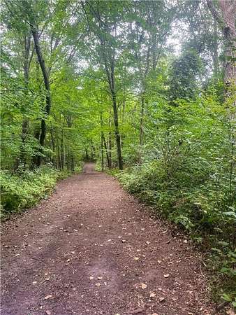 30 Acres of Recreational Land for Sale in Sunrise Township, Minnesota