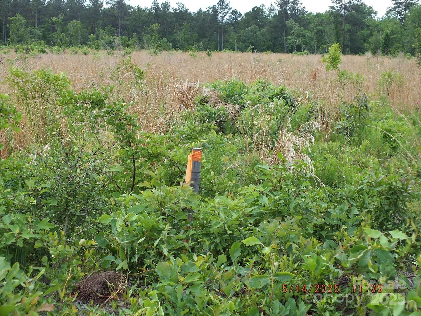 5.56 Acres of Residential Land for Sale in Kershaw, South Carolina