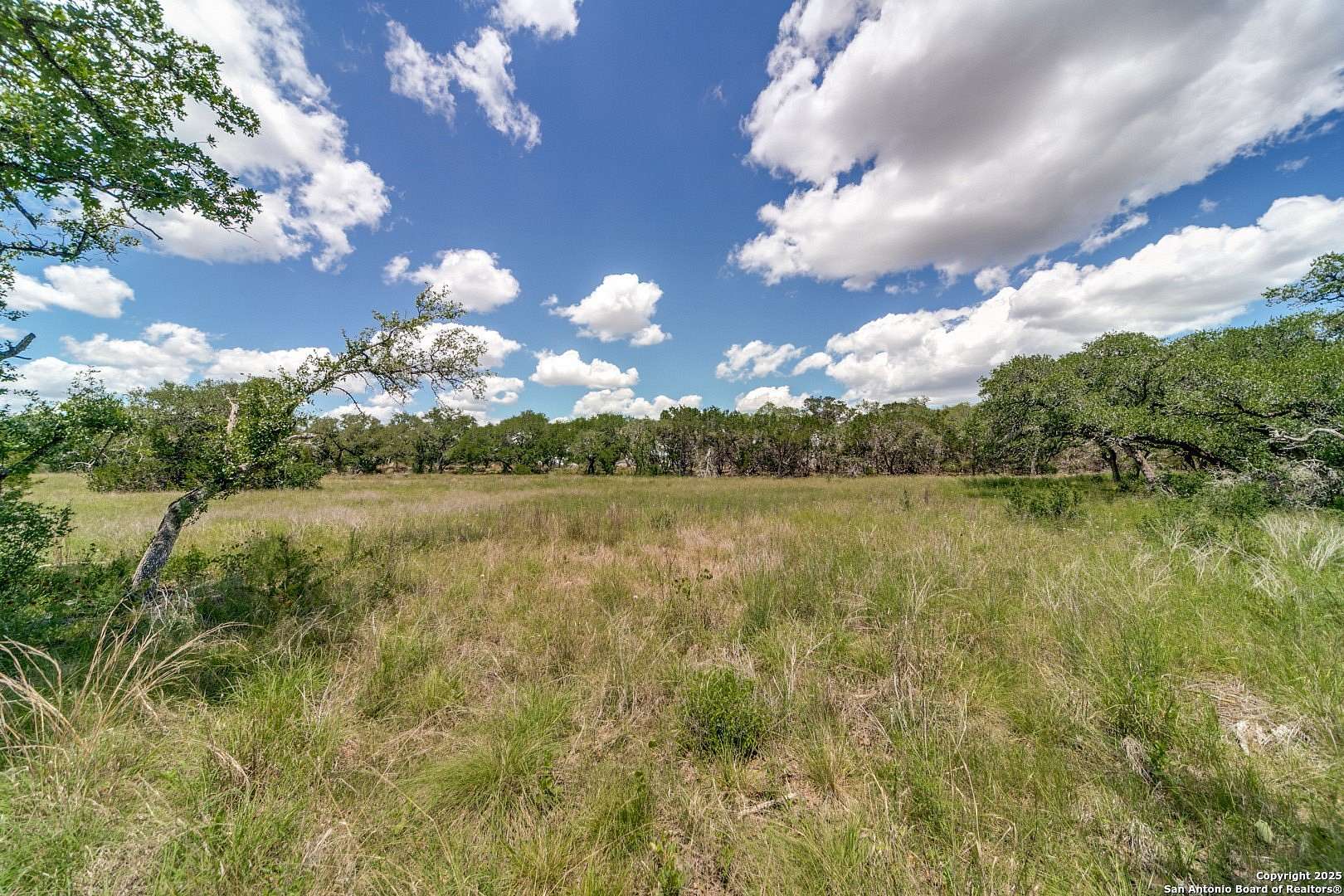 1 Acre of Residential Land for Sale in Bulverde, Texas