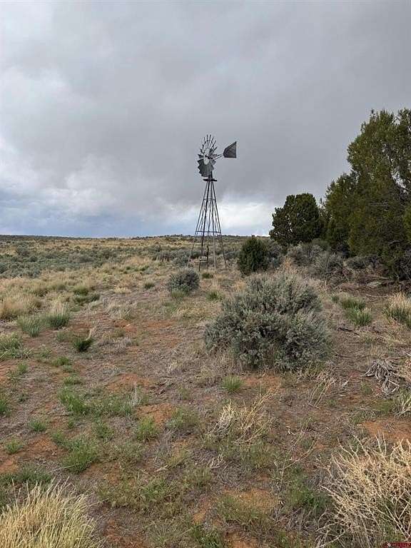 160 Acres of Land for Sale in Dove Creek, Colorado