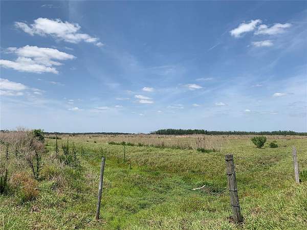25.7 Acres of Agricultural Land for Sale in Zolfo Springs, Florida