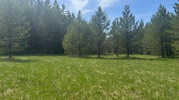 20.3 Acres of Land for Sale in Orofino, Idaho
