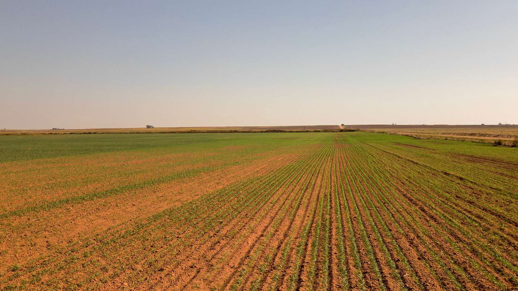150 Acres of Agricultural Land for Sale in Jet, Oklahoma