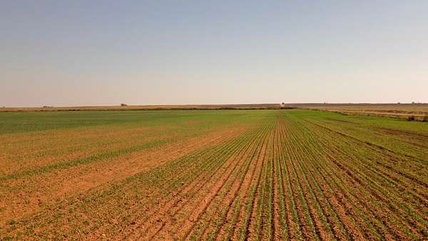 150 Acres of Agricultural Land for Sale in Jet, Oklahoma