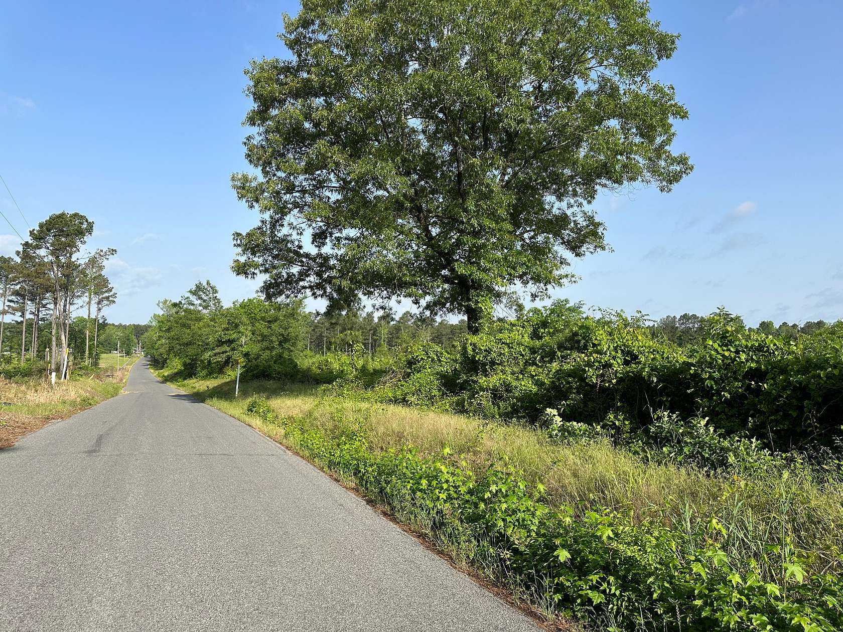 121 Acres of Land for Sale in Malvern, Arkansas